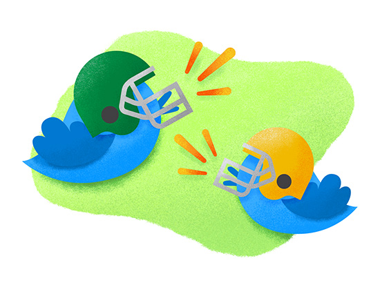 Bluebirds in football helmets tweeting